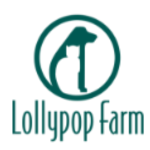 NY Lollypop